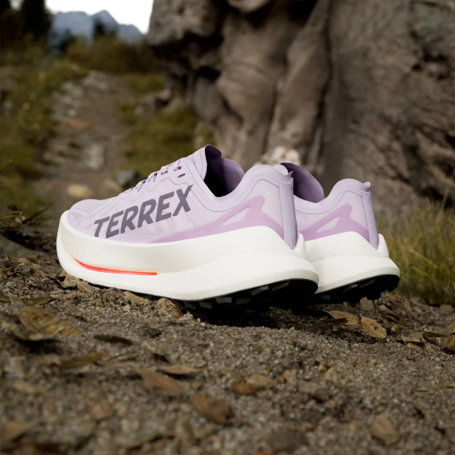 Women's Terrex Agravic Speed Ultra Trail Running Shoes Powder Plum / Aurora Plum / Lucid Red - Image 4