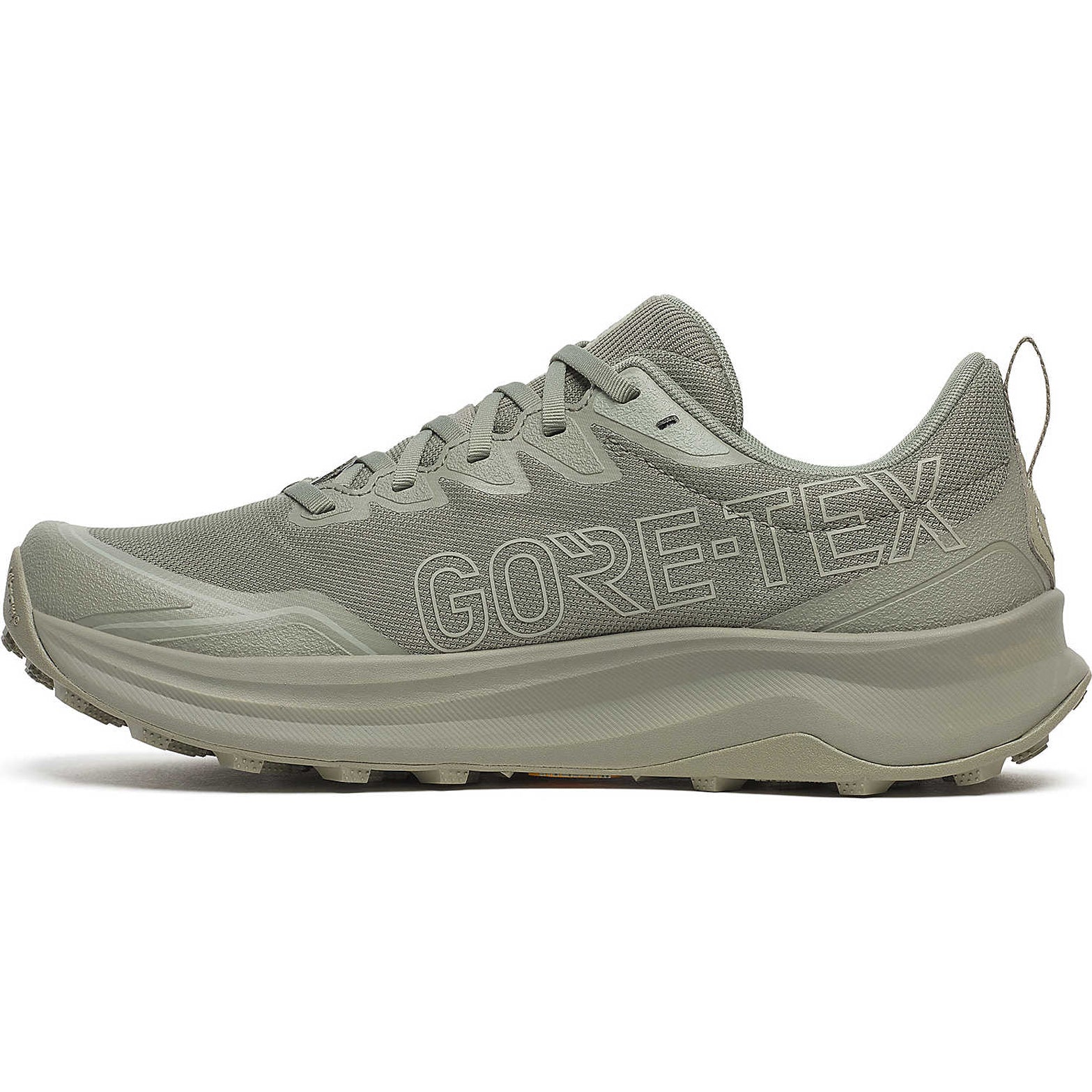 Men's Peregrine 16 GORE-TEX Trail Running Shoes Laurel / Sage - Image 2