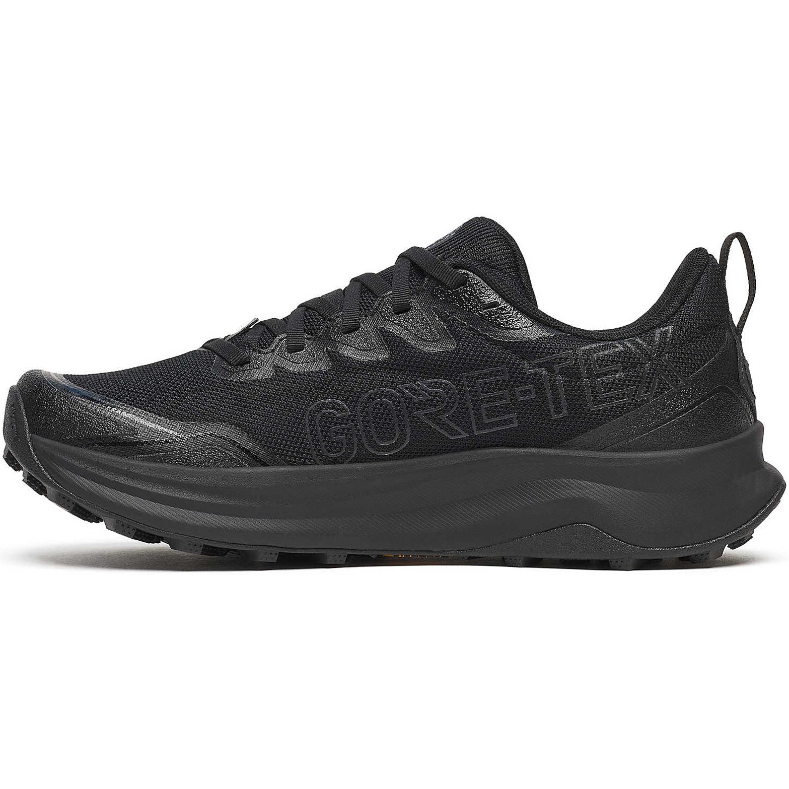 Women's Peregrine 16 GORE-TEX Trail Running Shoes Triple Black - Image 2