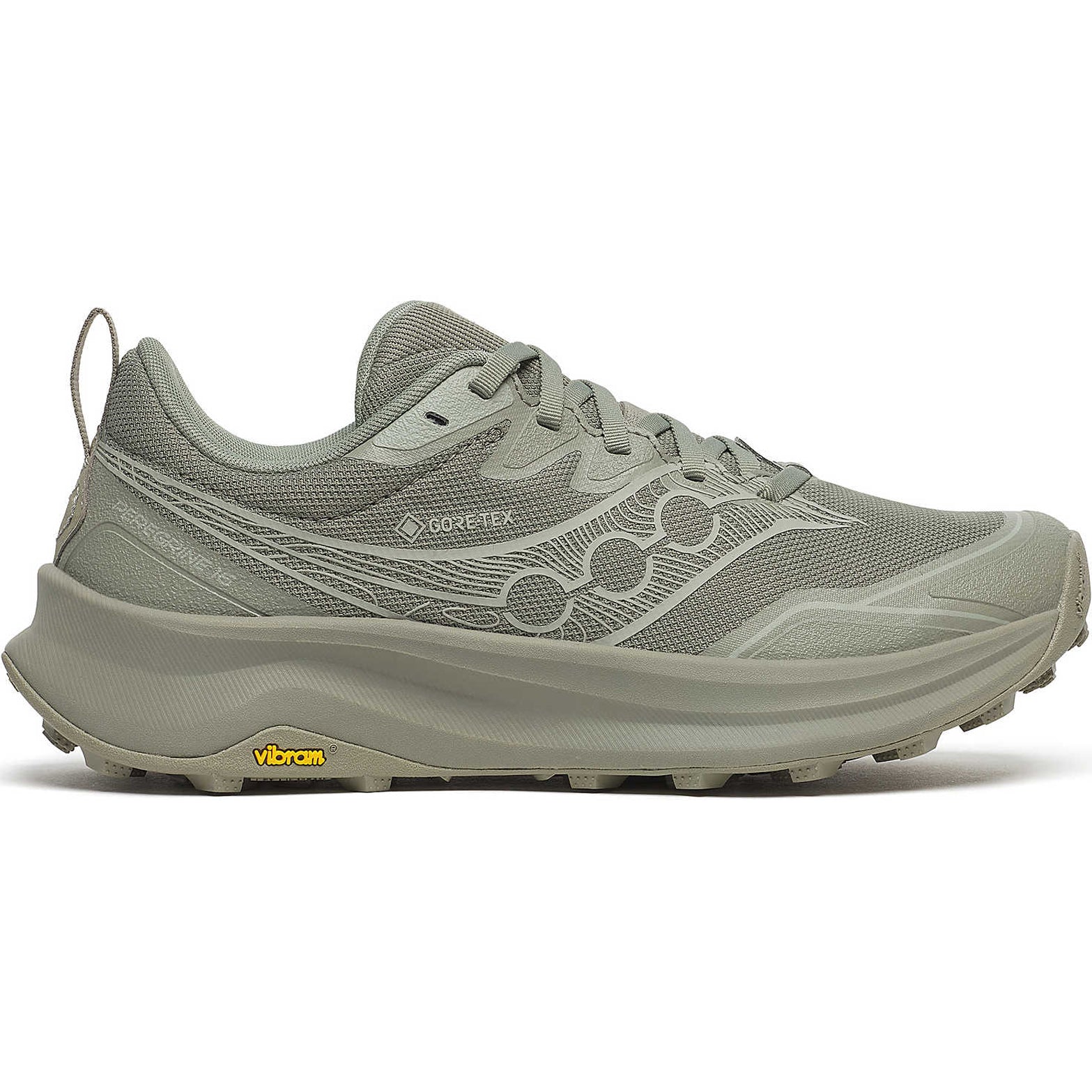 Women's Peregrine 16 GORE-TEX Trail Running Shoes Laurel / Sage
